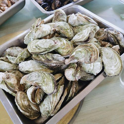 ankha zone ankha minus8 rule34功能展示